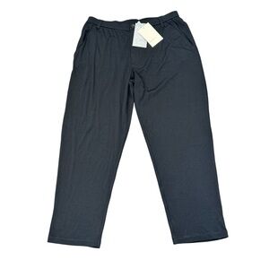 Icebreaker Pants Mens Size XL ICL Interlock 100% Wool All Over Stretch Black